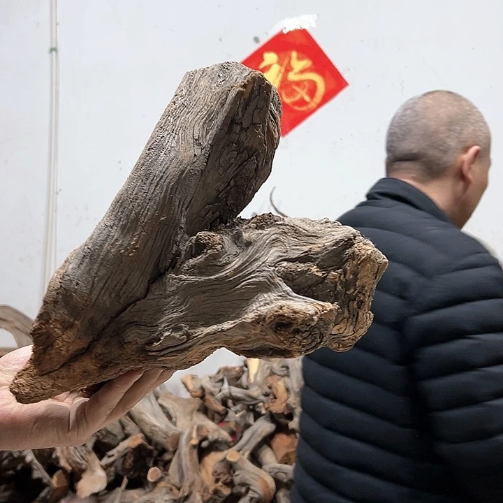 柏木盯*喵我们都是好孩子呀我也