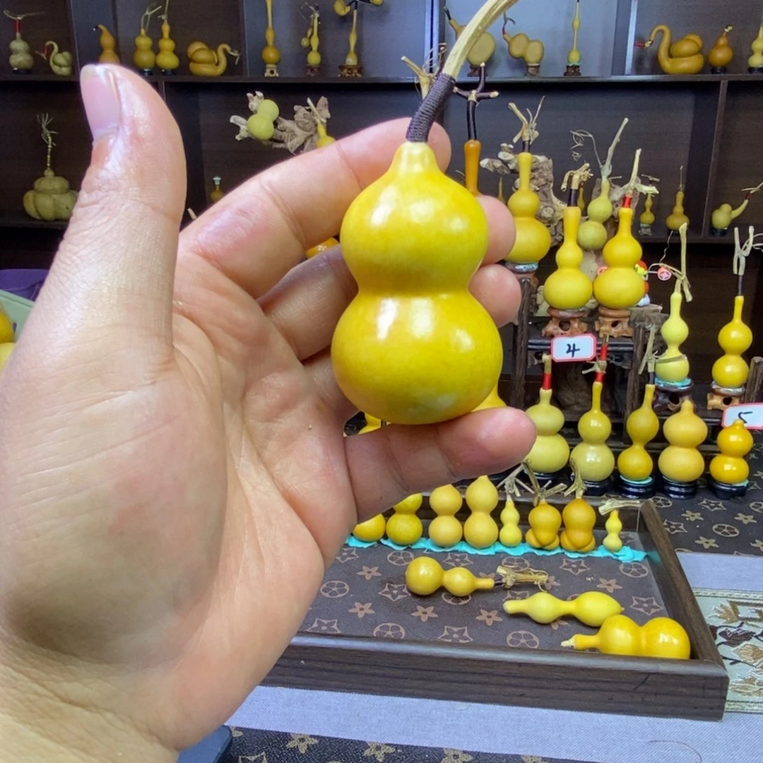 小**珂888888888888888