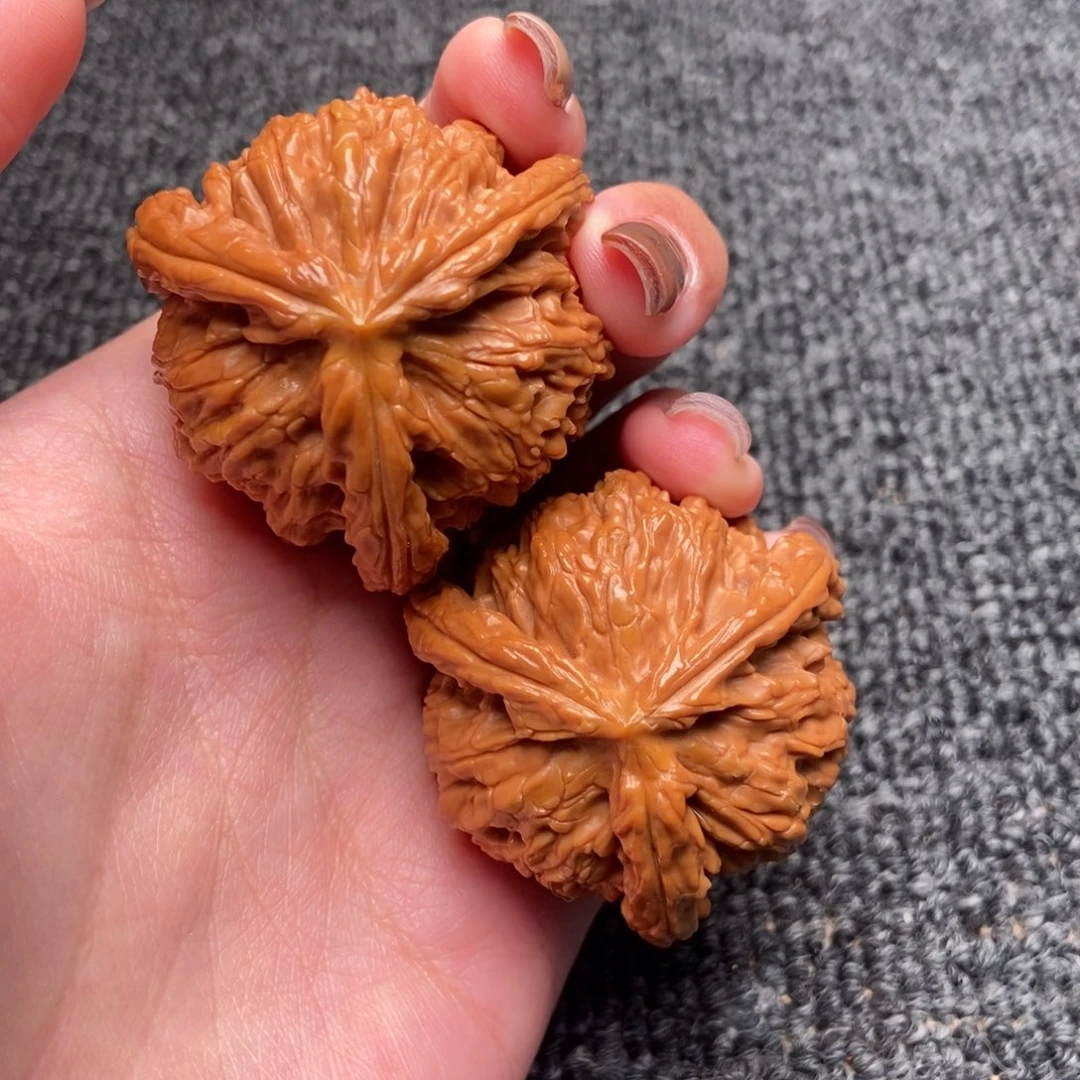 大****木质类白狮子正奔