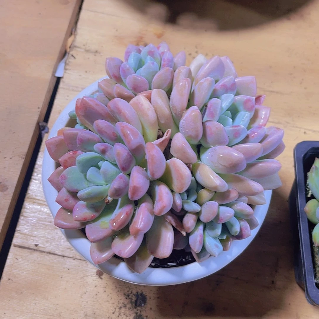 一***?0000000000000276