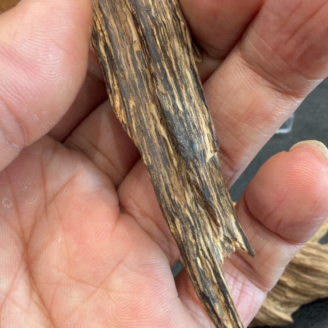 破***子树脂制品港黄棋十足 2.88 克