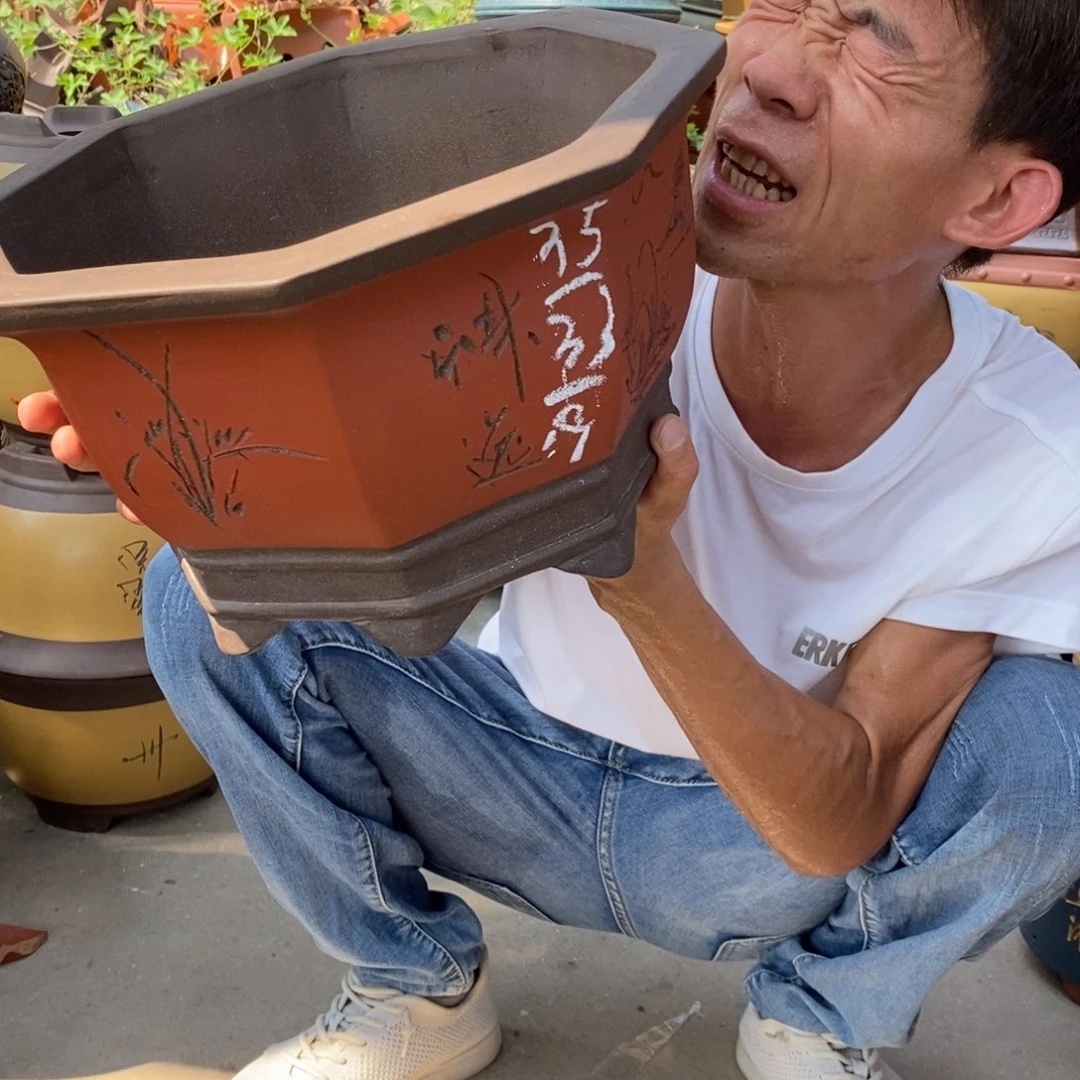 紫砂花盆紫砂紫砂紫砂紫砂