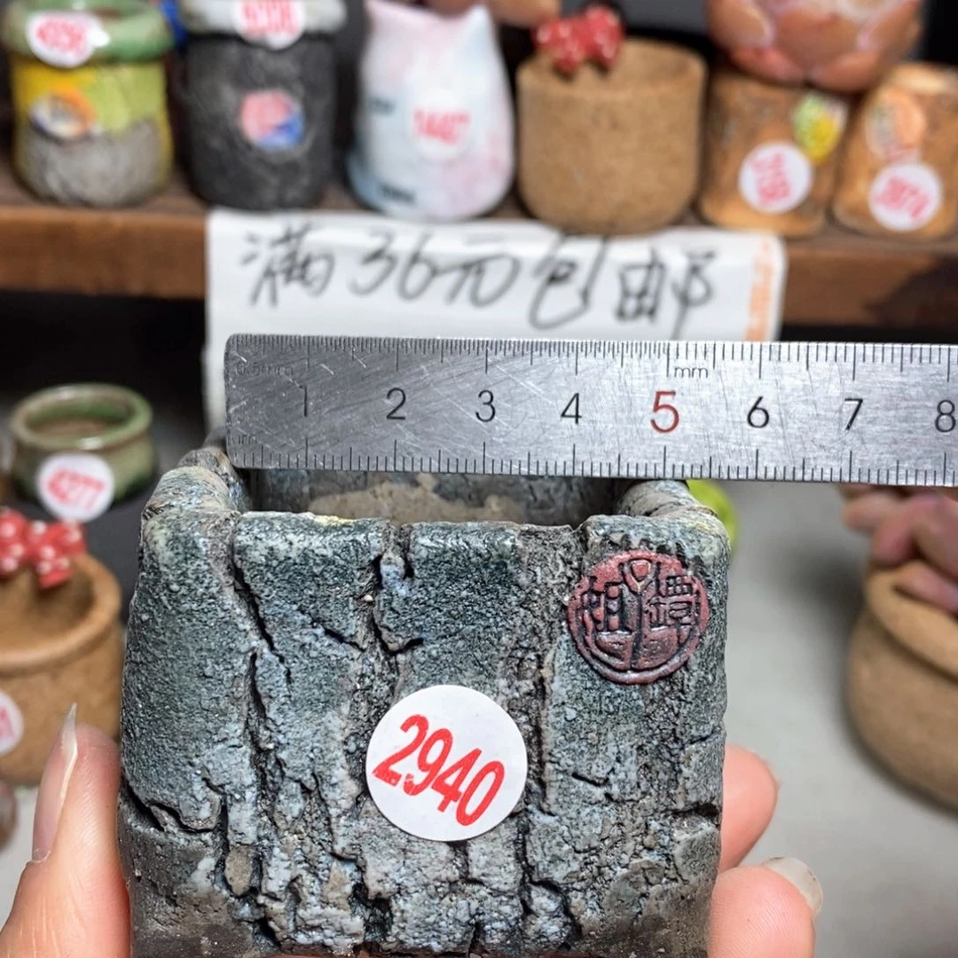 红陶拍5送一个小