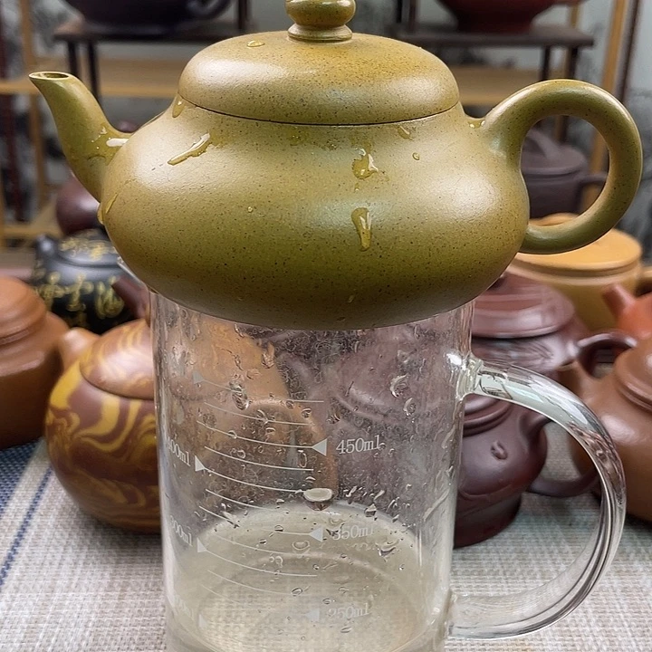 紫砂茶壶✨****✨宜兴紫砂