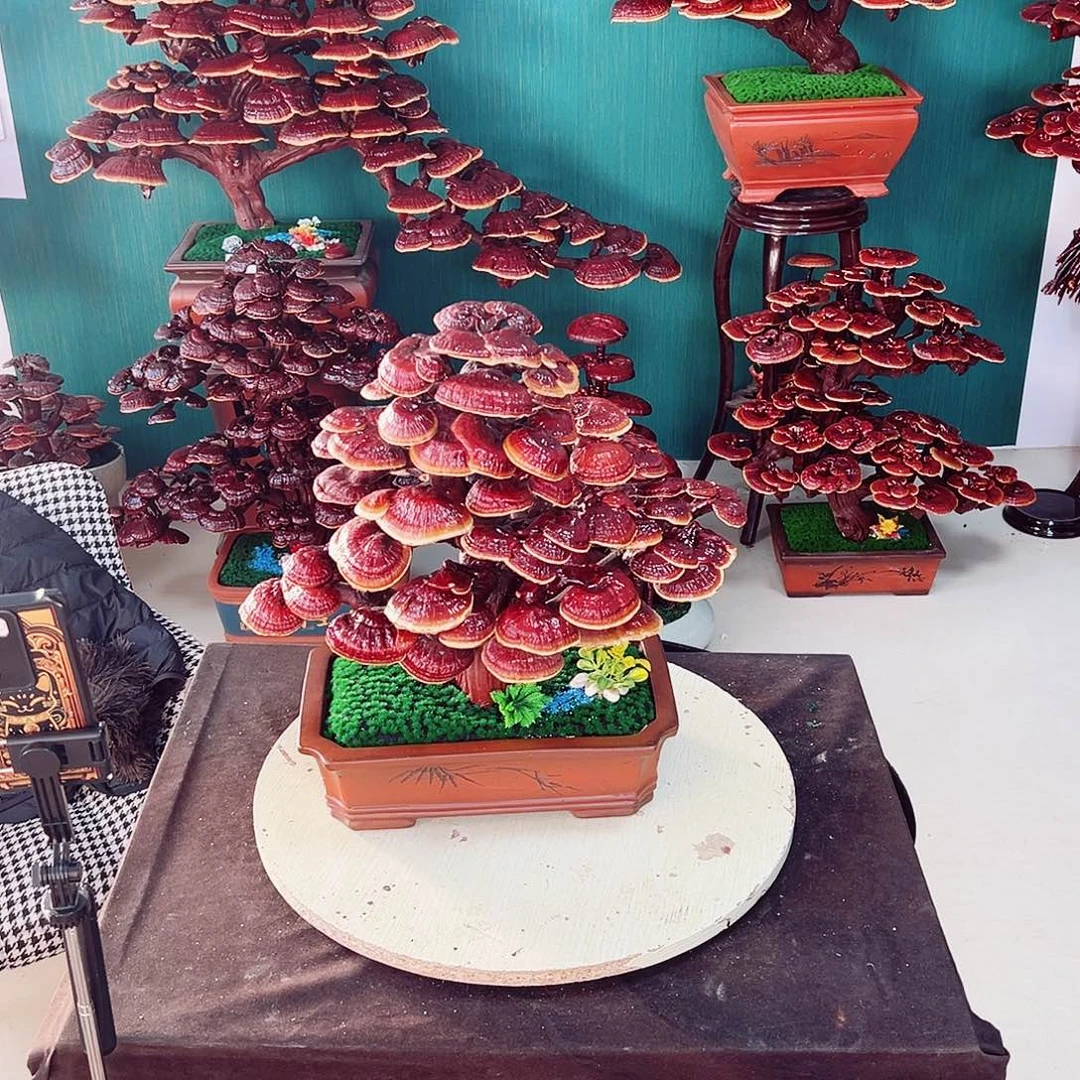 【闪购商品】全部花朵