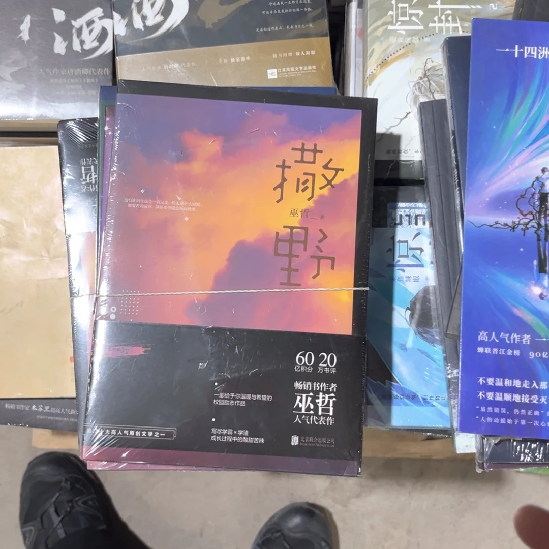 撒野新书全套福利