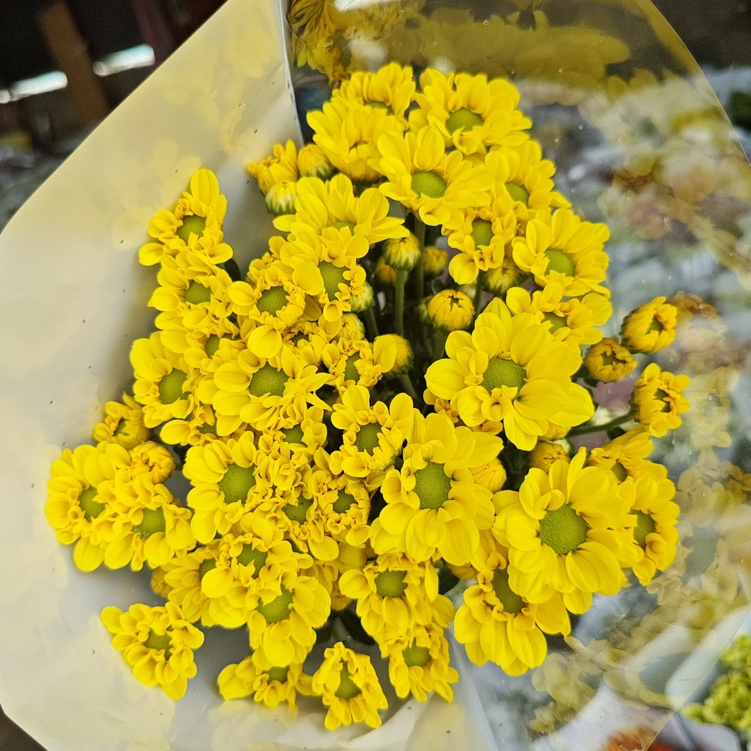 【小黄花】小菊家用鲜花/花束   云南鲜花基地直发