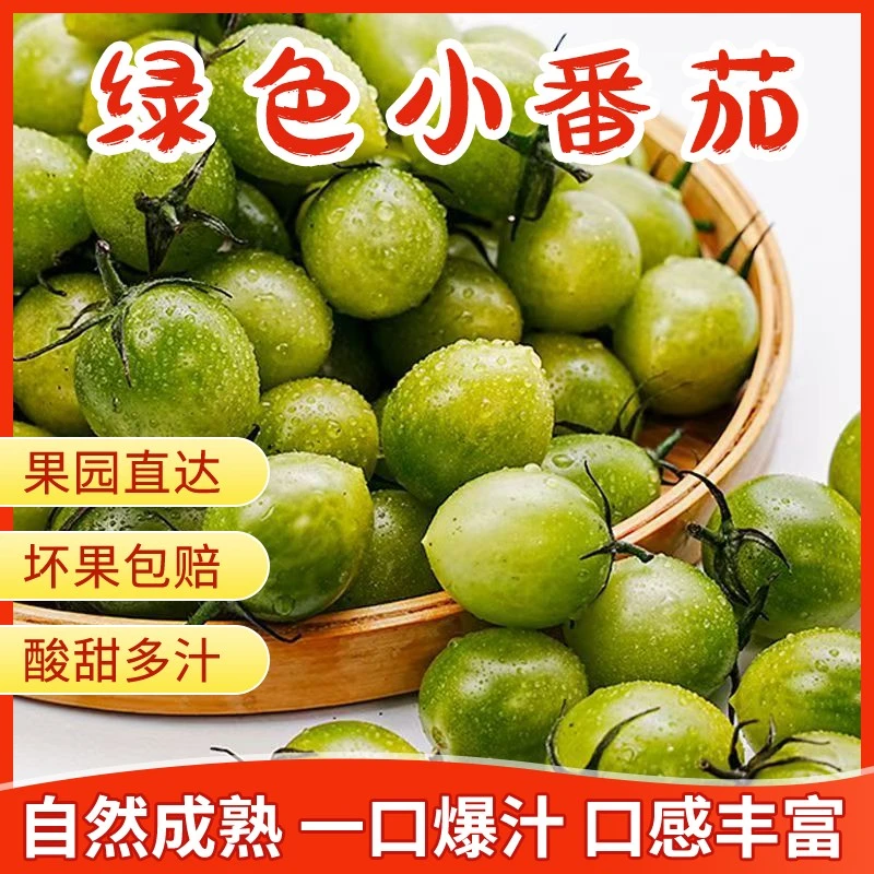 青甜2号绿色小番茄圣女果新鲜采摘山东寿光直发绿宝石千禧