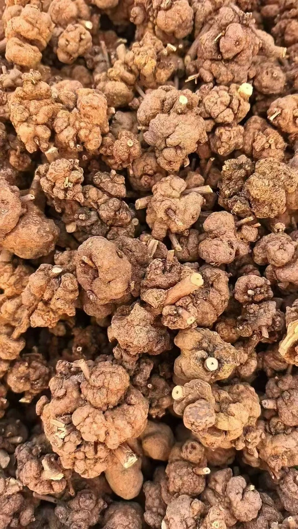 云南大山独有清留果             W1