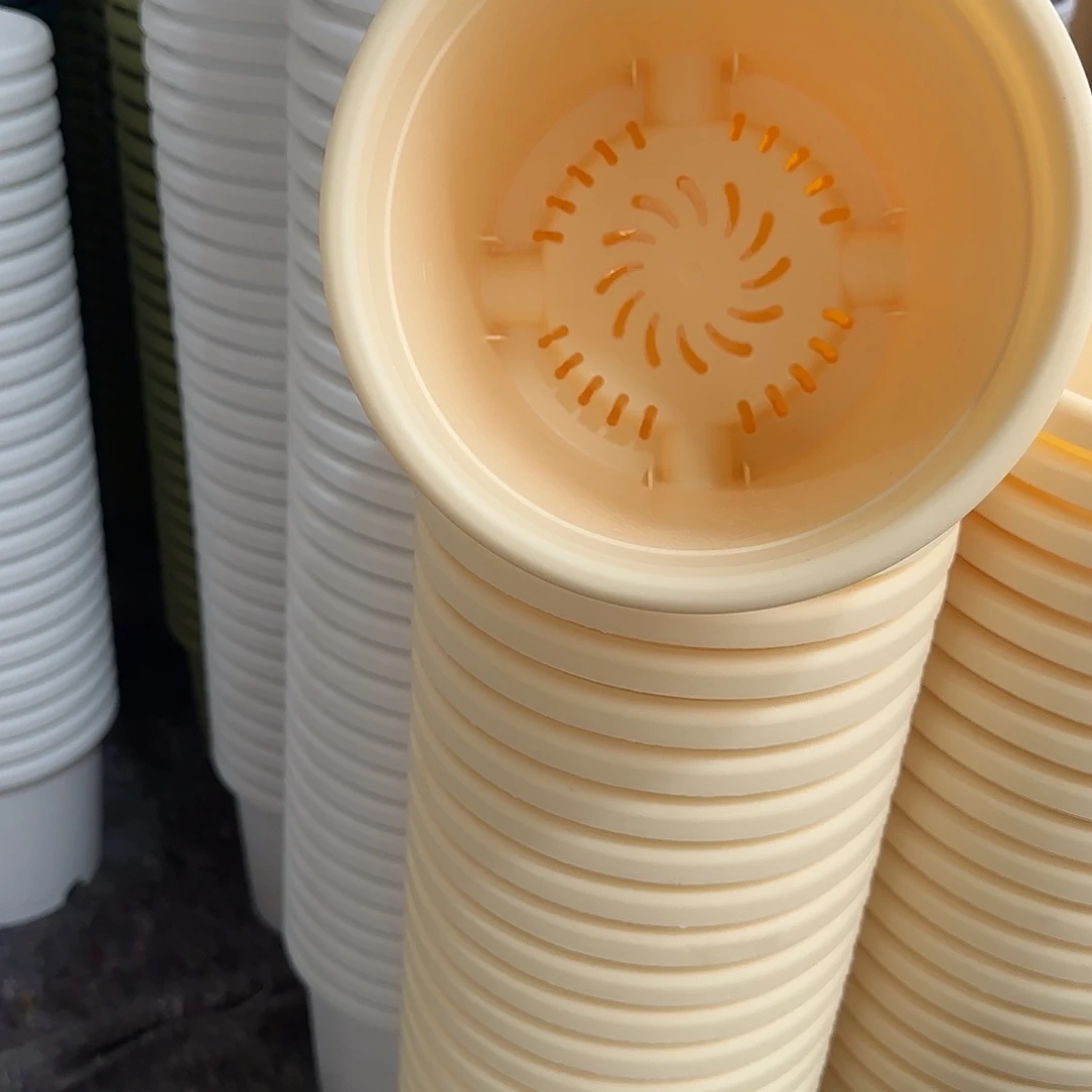 树脂四季2号带托6个，颜色留言