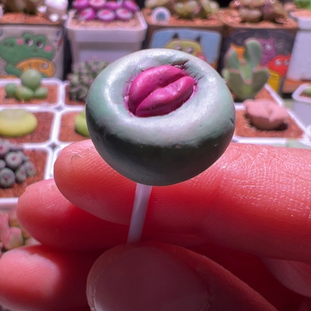 软陶大红嘴，1.7公分