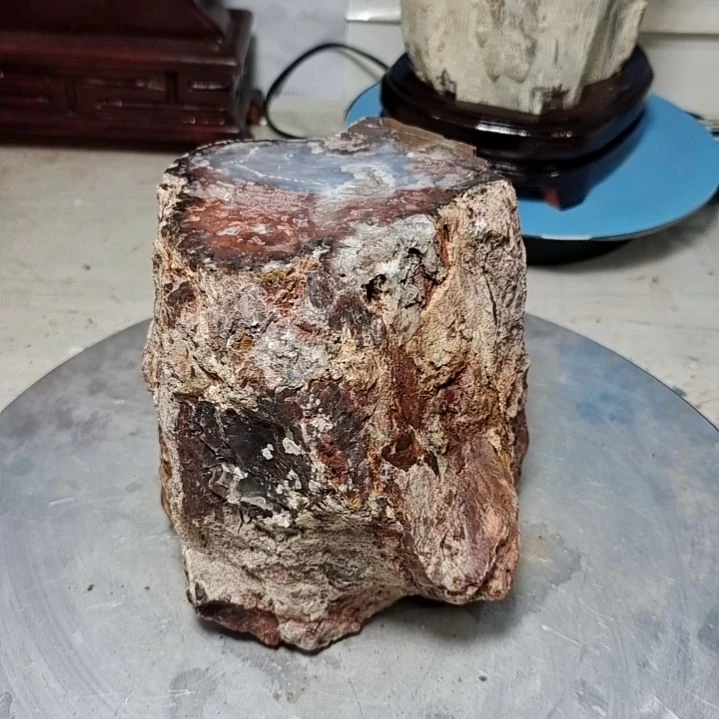 黄***薇石材新疆奇台硅化木 木化石，树化石，树化玉。