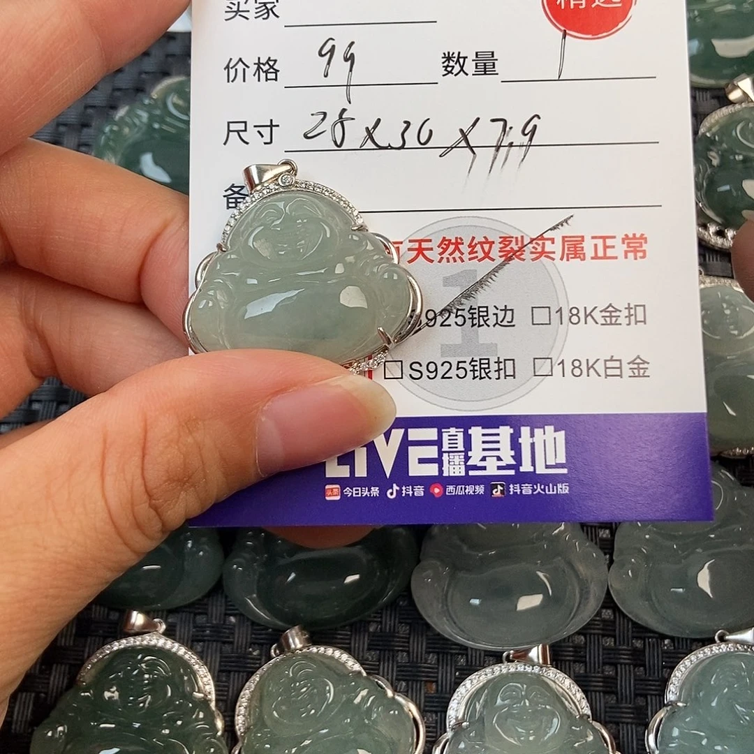 翡翠银S925镶嵌颈饰