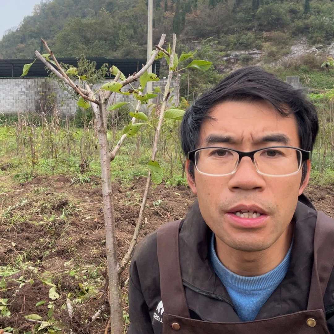 当前无花栽培后可以开花32不包活不退不换