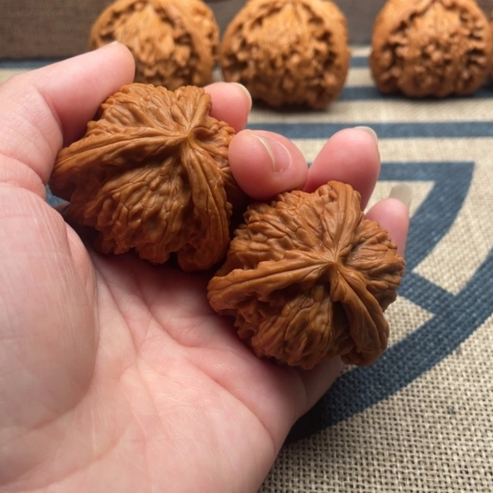 包***好核桃白狮子41核桃