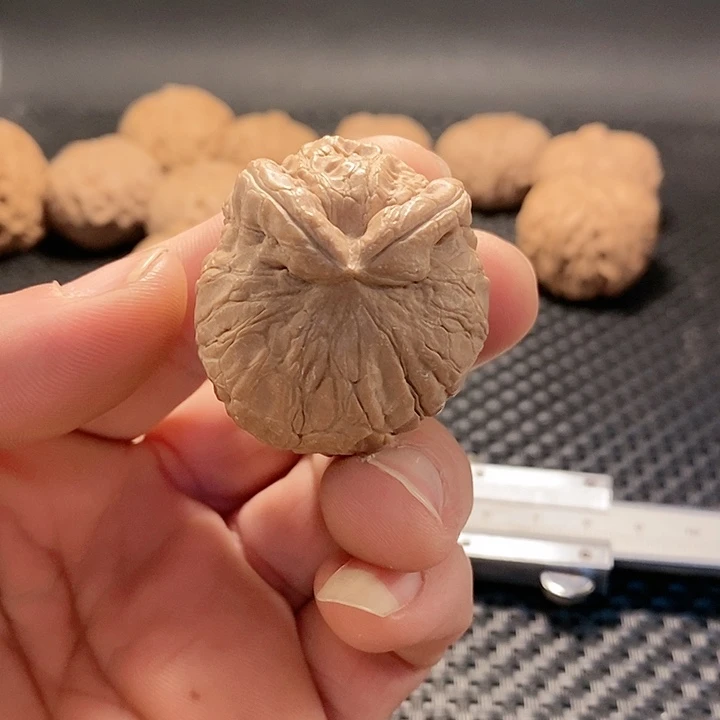 把件文玩核桃平谷元宝兔子