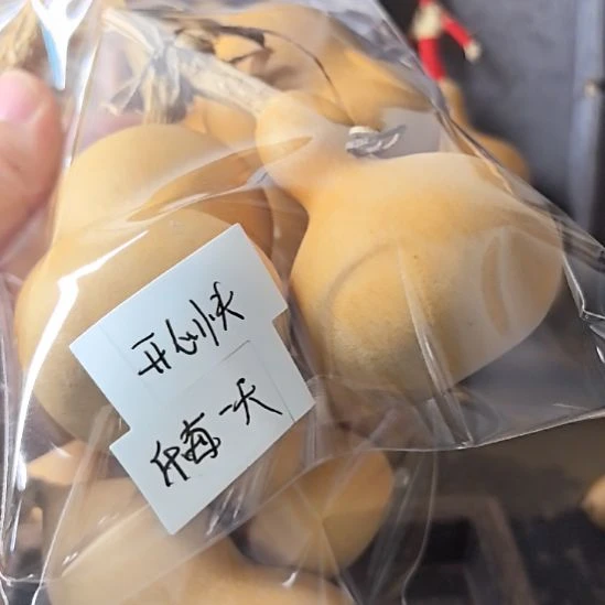 葫芦开心快乐每一天