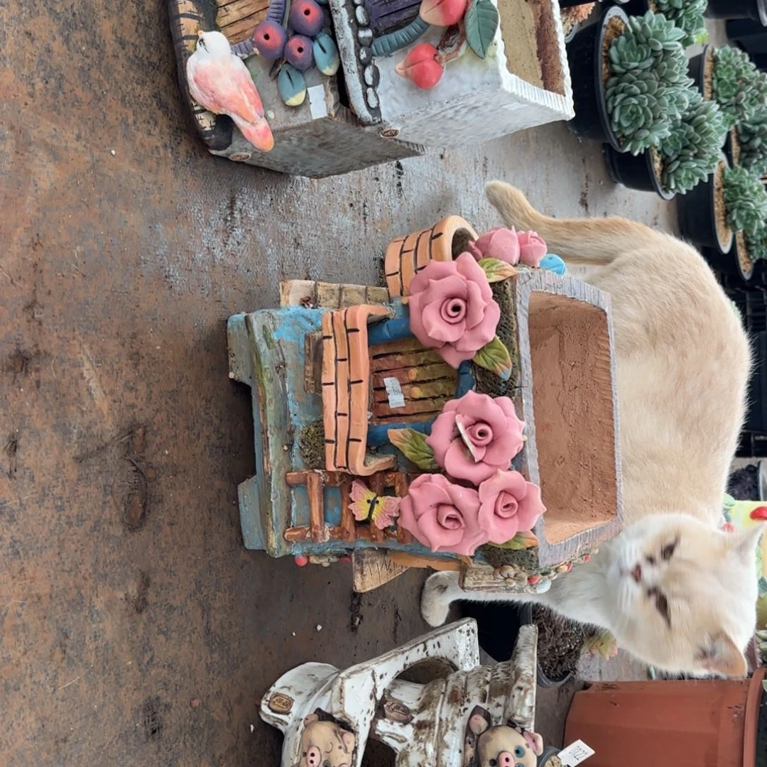 一***风花盆五个瑕。