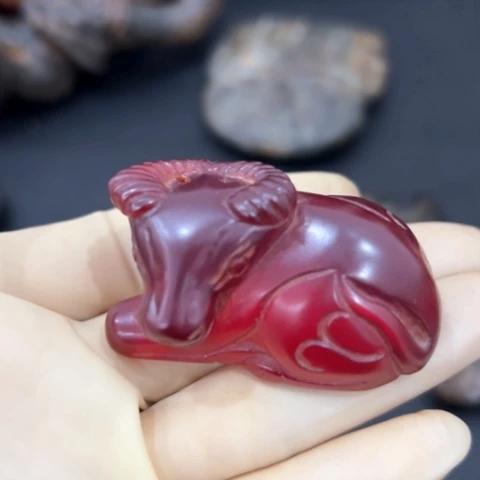 手串菩提根/象牙果