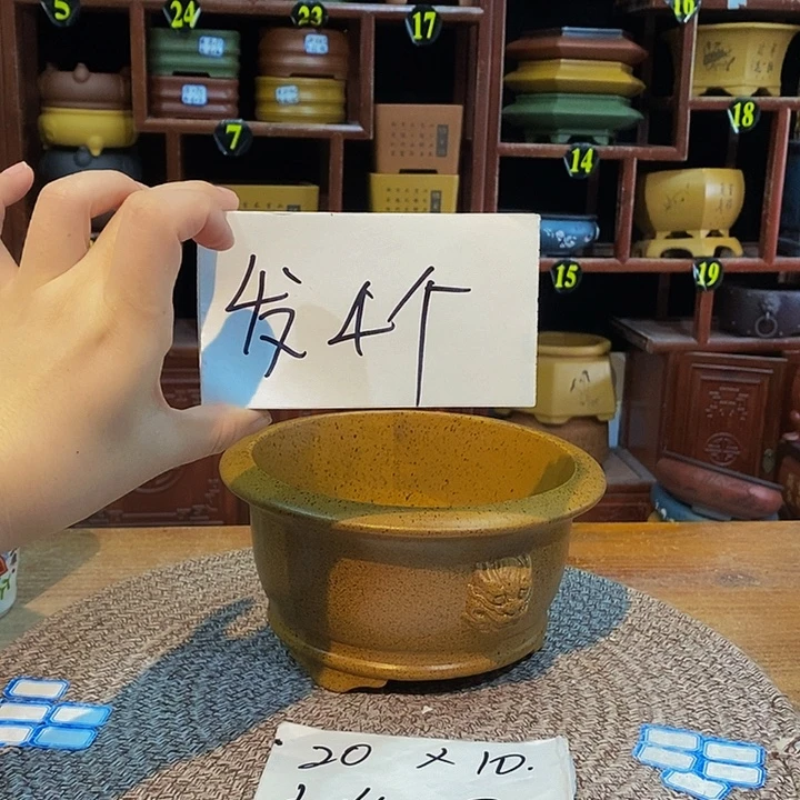 紫砂花盆紫砂花盆