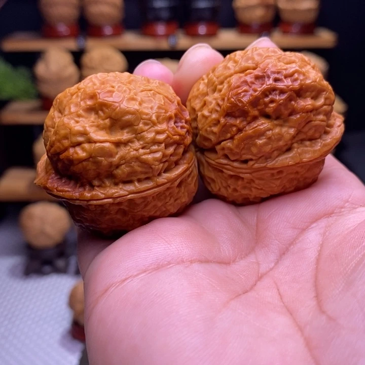 木质类云铁龙雀金蟾53号