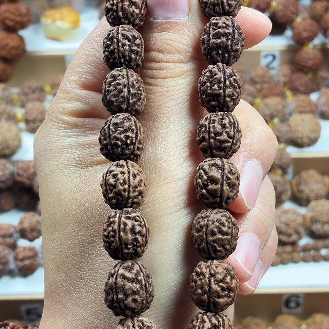 手串金刚菩提稀有精品无嫁接恐龙蛋盘龙纹