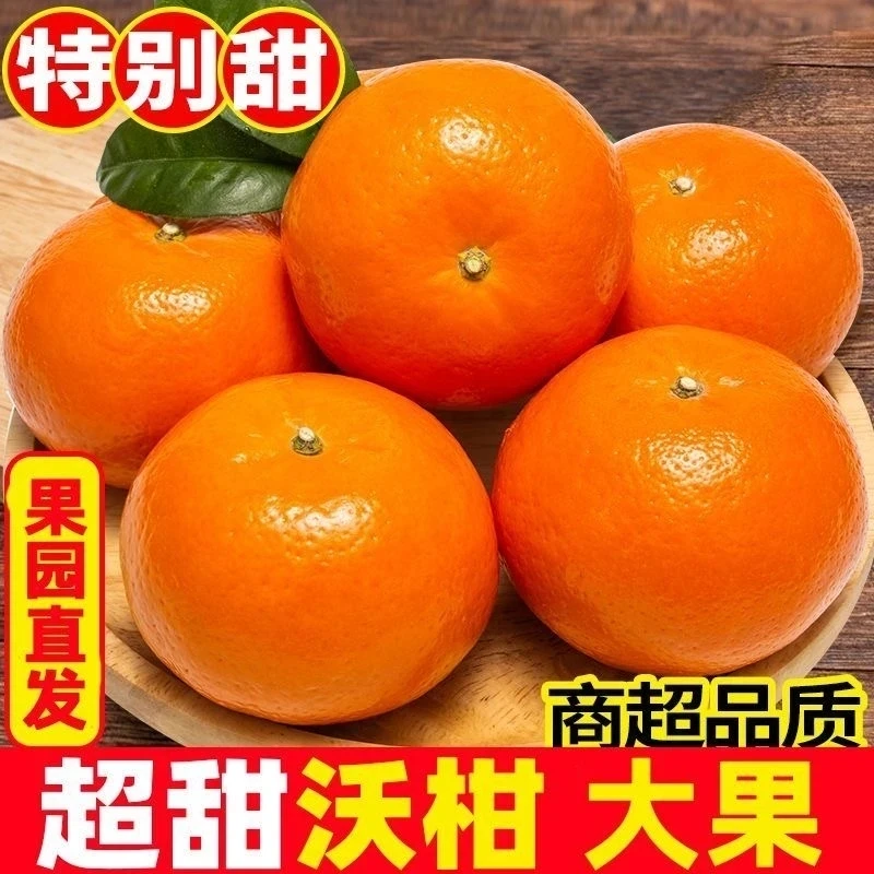 正宗广西武鸣沃柑新鲜水果当季甜蜜多汁皮薄柑橘橘子现摘桔子