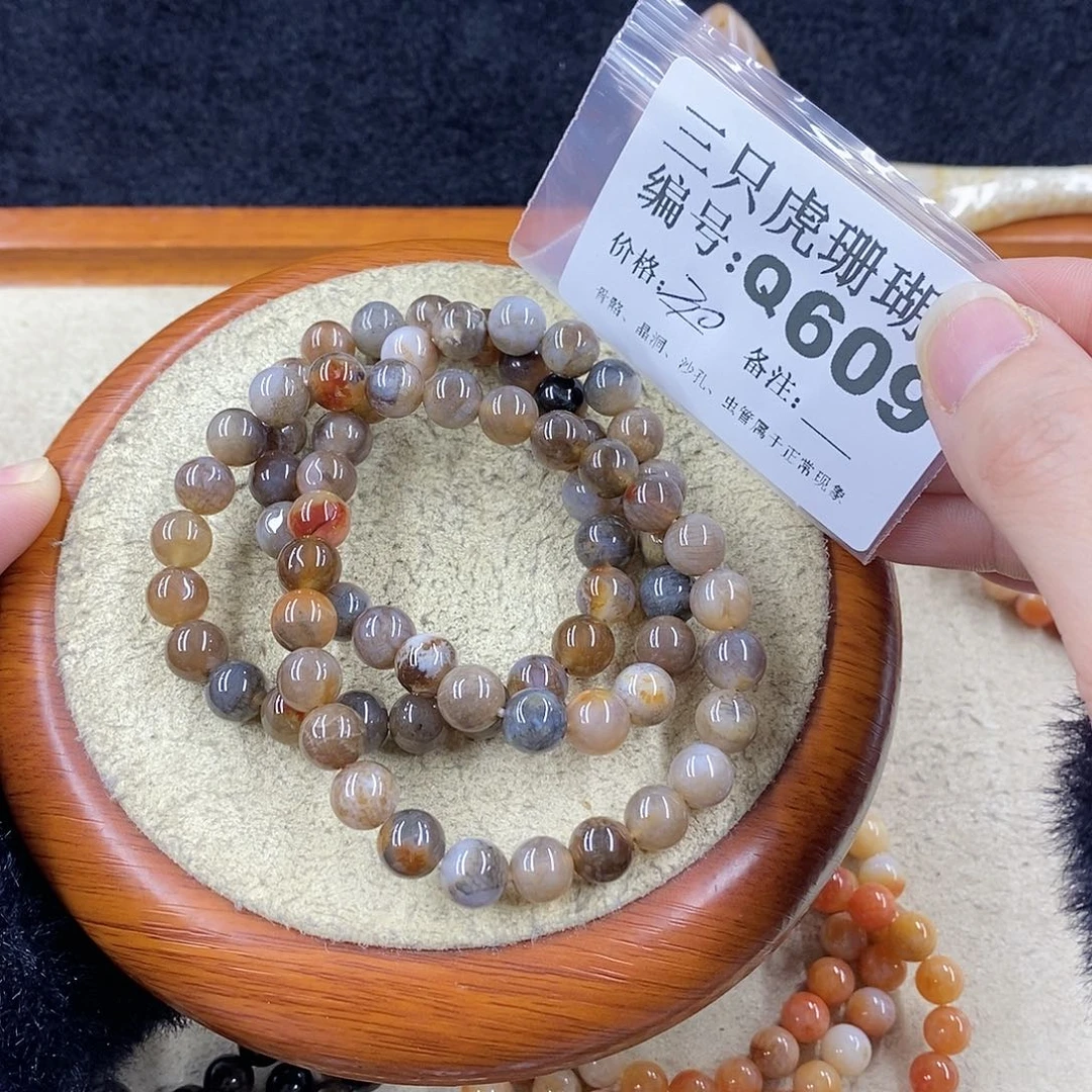 硅化珊瑚（珊瑚玉）1未镶嵌秋*