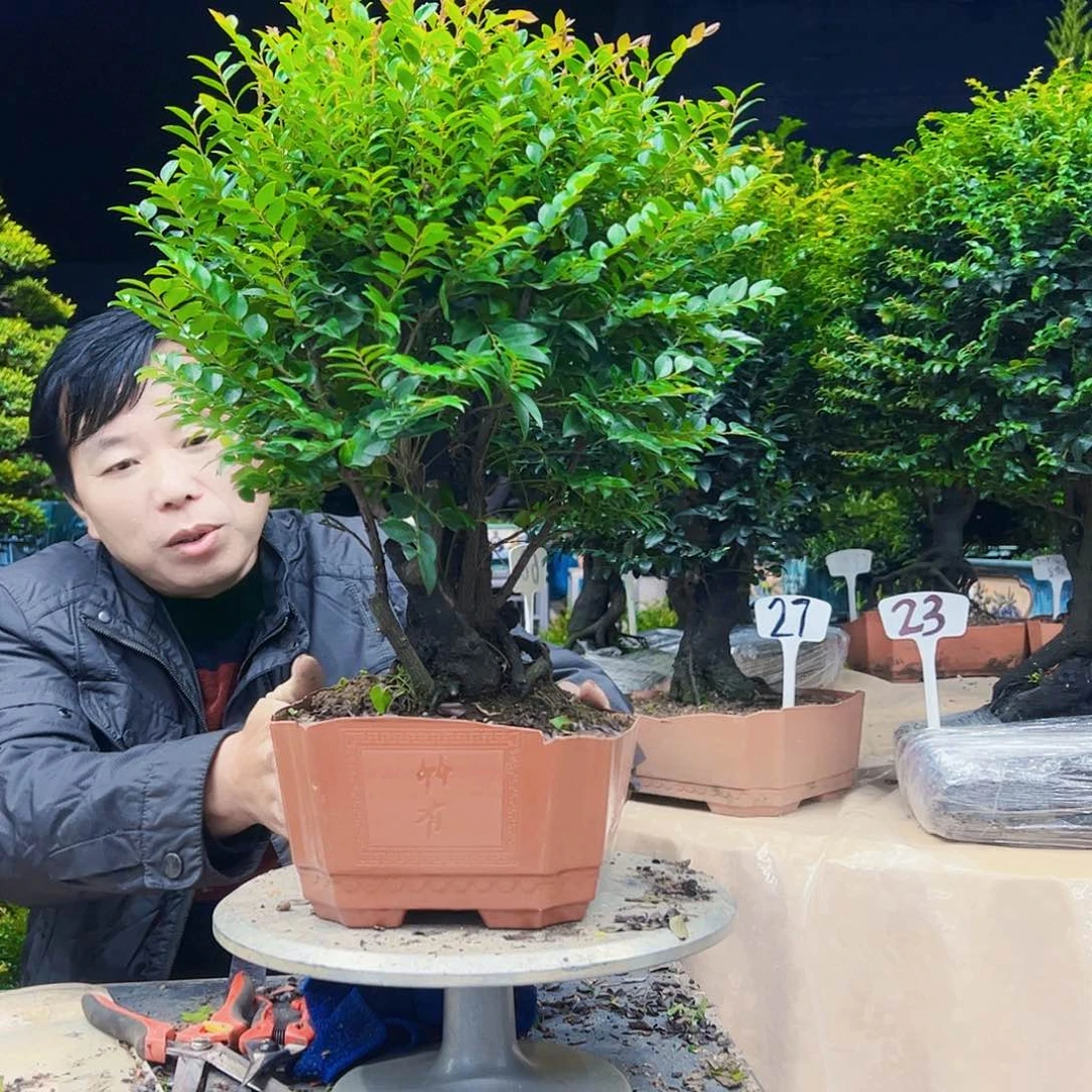 以实际为准世**艺12345677