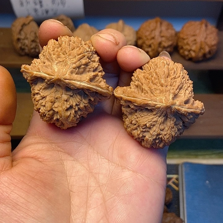 满天星全品45.45.37