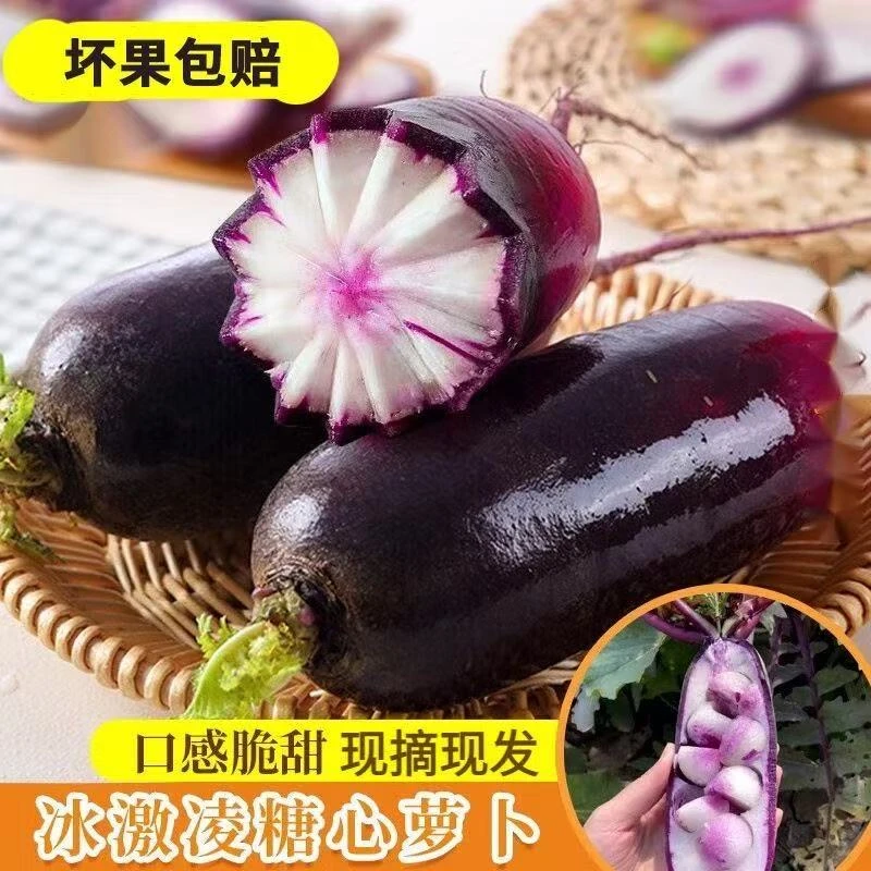 【今秋新货】冰淇淋水果萝卜正宗冰糖心冰激凌水果潍坊萝卜脆甜多汁