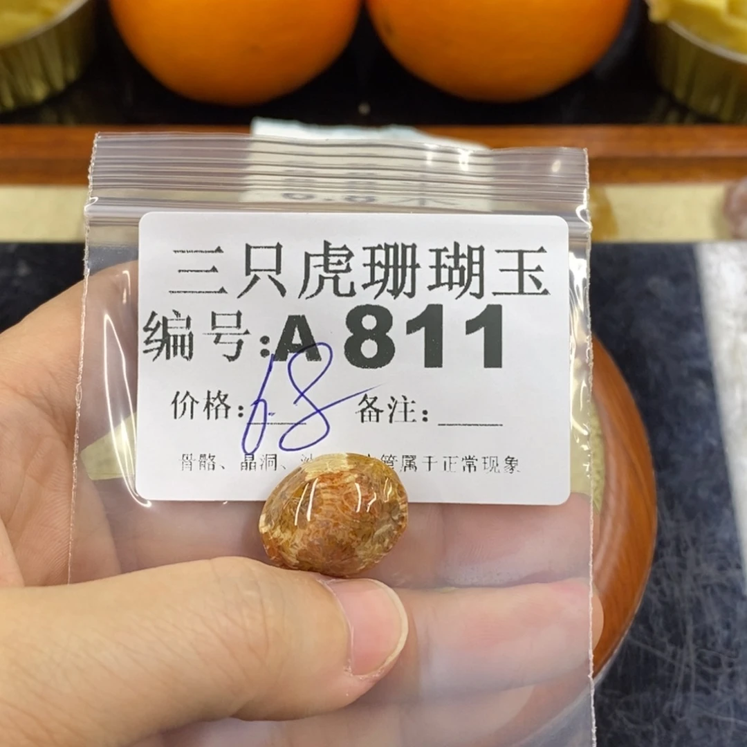 硅化珊瑚（珊瑚玉）1未镶嵌心***3