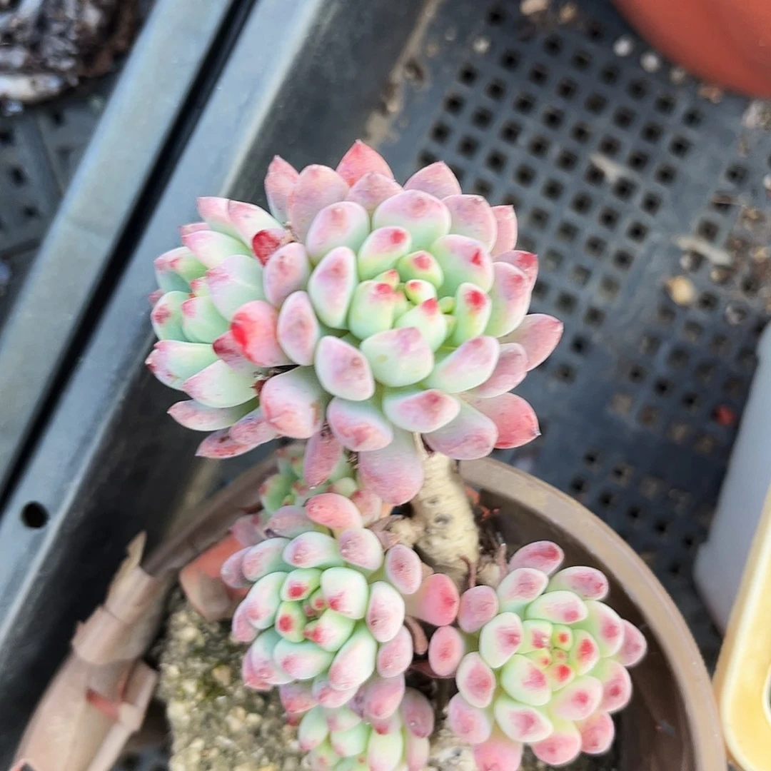 峰**~543哈哈哈哈哈哈哈