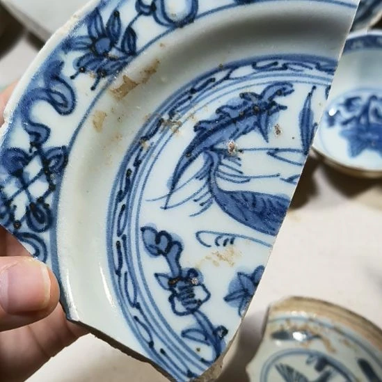 瓷片瓷片瓷片瓷片瓷片