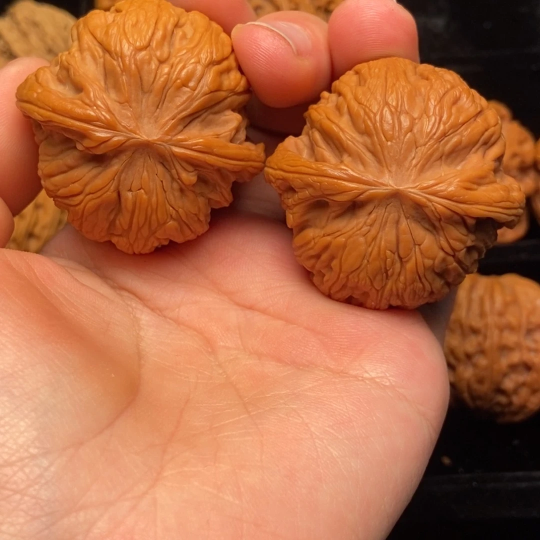 文玩核桃把件秦岭野生核桃