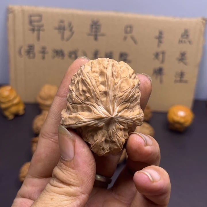 鸿***菩提籽类南瓜两棱半