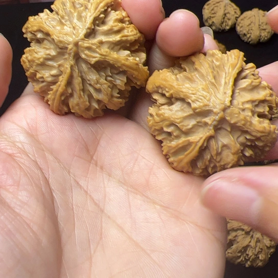 文玩核桃把件电*秦岭野生文玩核桃