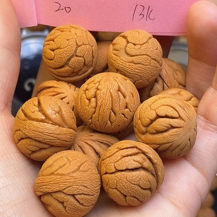 吊坠桃核秦岭龙纹桃核20尺寸