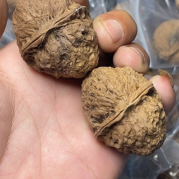 把件文玩核桃云南铁核桃97