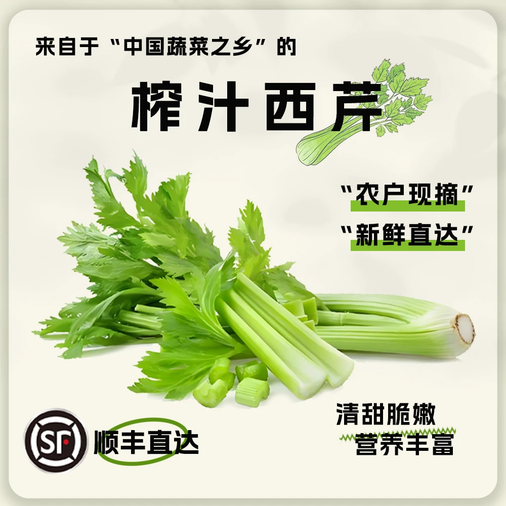 榨汁芹菜山东寿光水果芹菜顺丰直达新鲜生吃生鲜青菜（净重五斤）