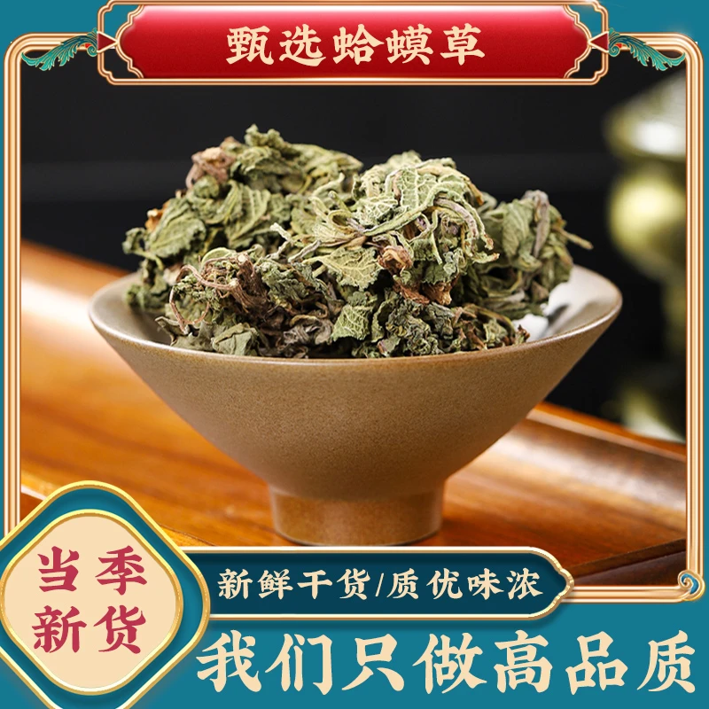 蛤蟆草中药材500g克新鲜癞蛤蟆草干蟾蜍草青蛙草的功效泡茶雪见草