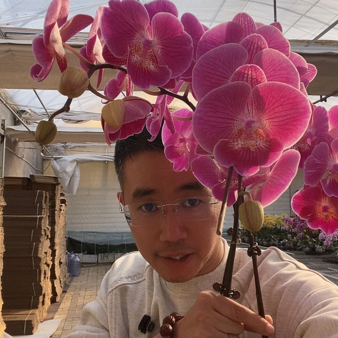 完全开放俏皮大性感杯型混发