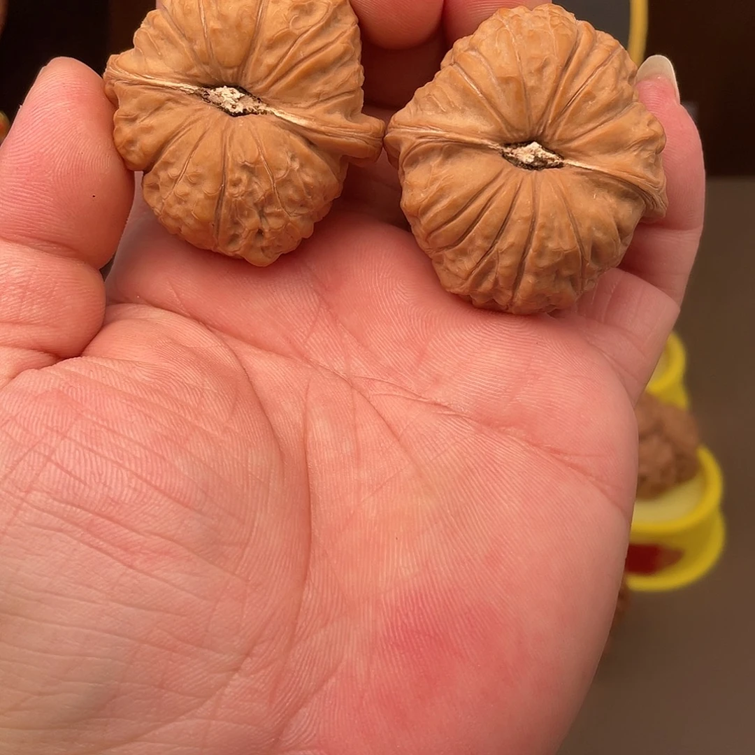 核桃南瓜敦全品尺寸45