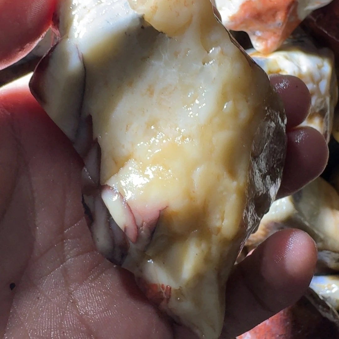 流***雨寿山石8988888999988