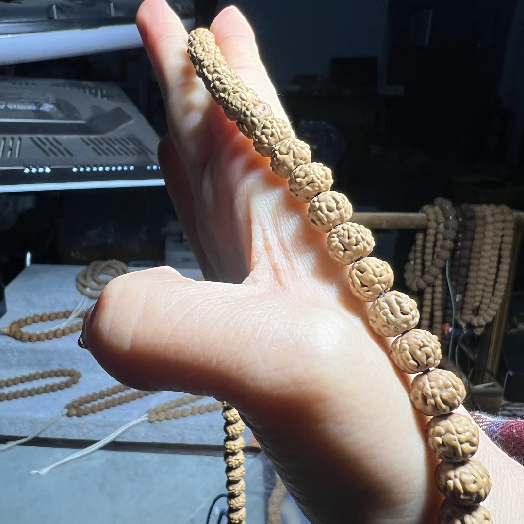 【三】六瓣金蟾蛤蟆背长串7-9mm（毫米）左右