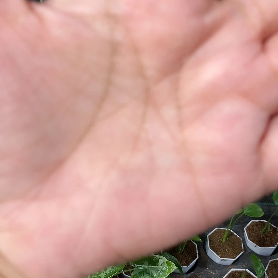 完全开放运费补拍