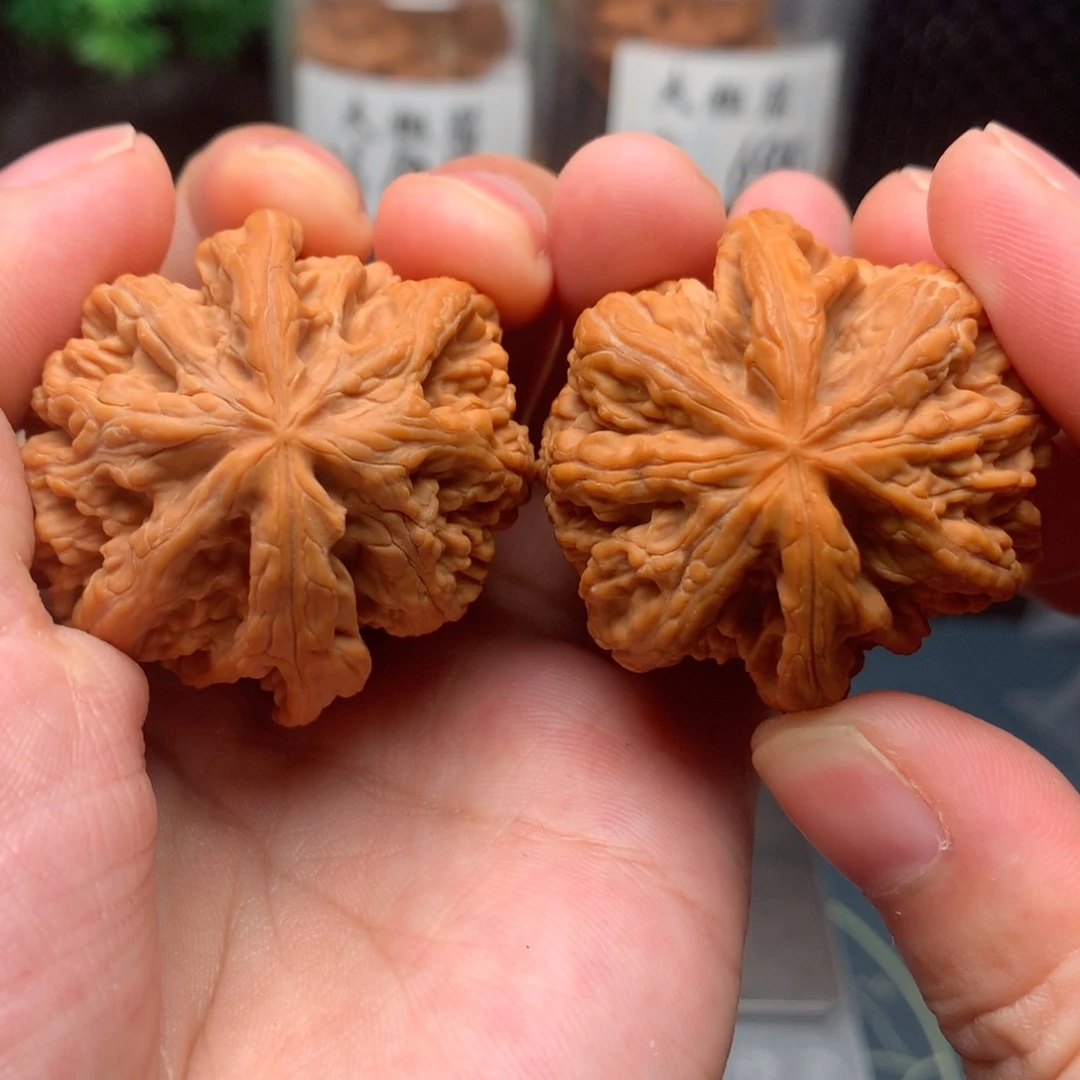 【闪购商品】桃核把件大粗筋16913-3大