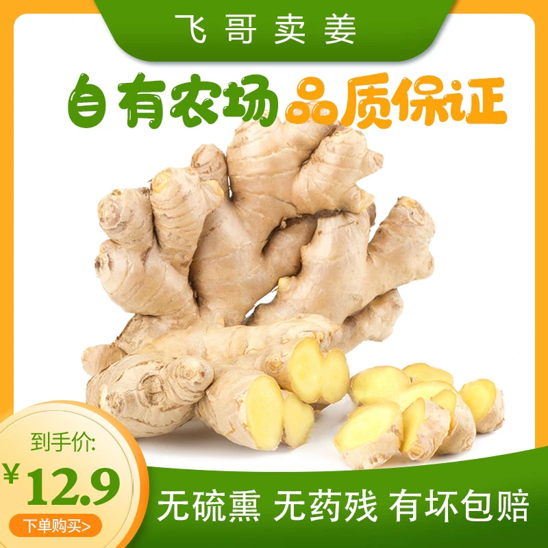 生姜大姜 自有农场品质保证 真检测真合格 出口标准商超同款