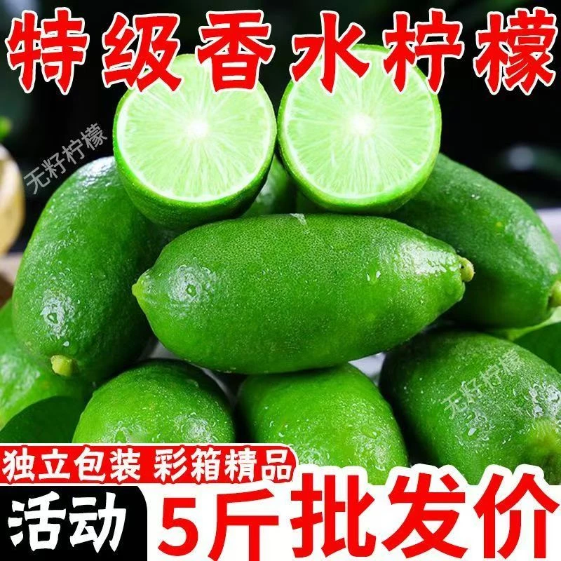【鲜果采摘】5斤装海南无籽香水青柠檬新鲜采摘清香多汁当季水果