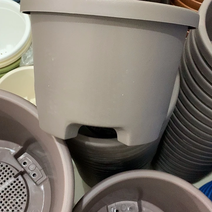 球根口26高19咖色5个